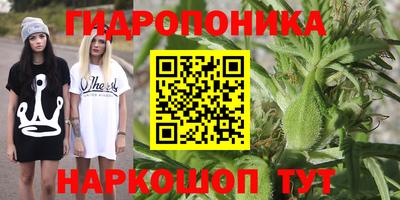 ПСИЛОЦИБИНОВЫЕ ГРИБЫ Вязники