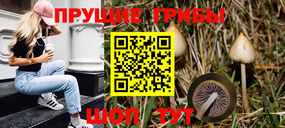 Фролово  Псилоцибиновые грибы ЛСД  Вход с VPN 
